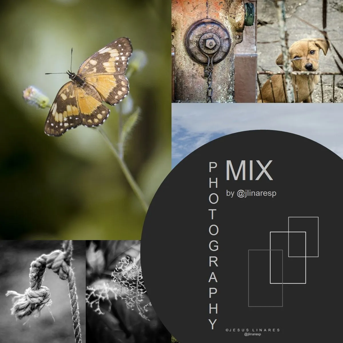 PHOTOGRAPHY MIX || ENG-ESP || (12 Pics)