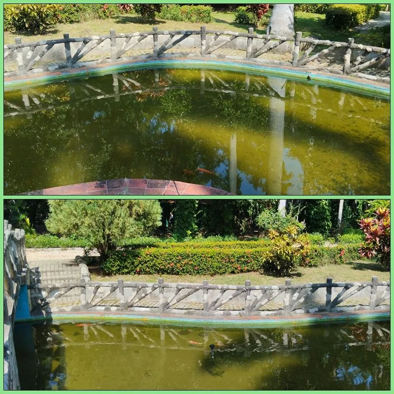 Mosaico5.jpg