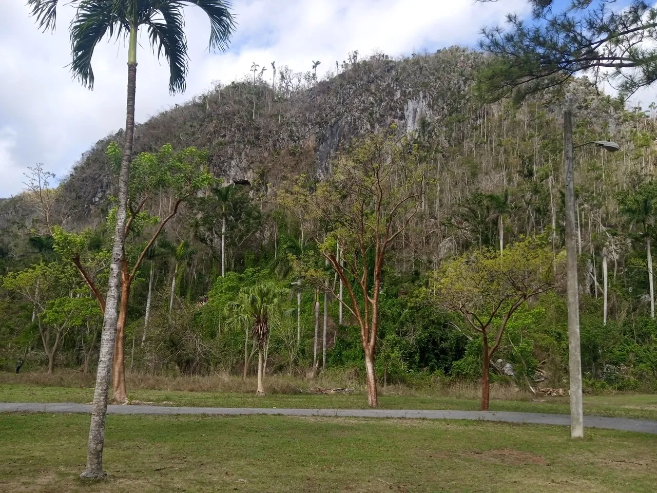 IMG_20230420_100803_1.jpg