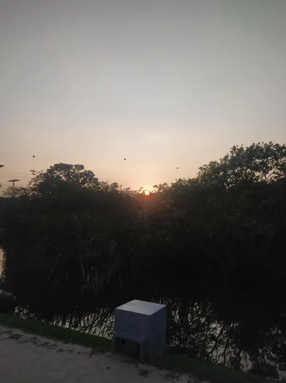 272770122_472968341073348_7119508719032063292_n.jpg