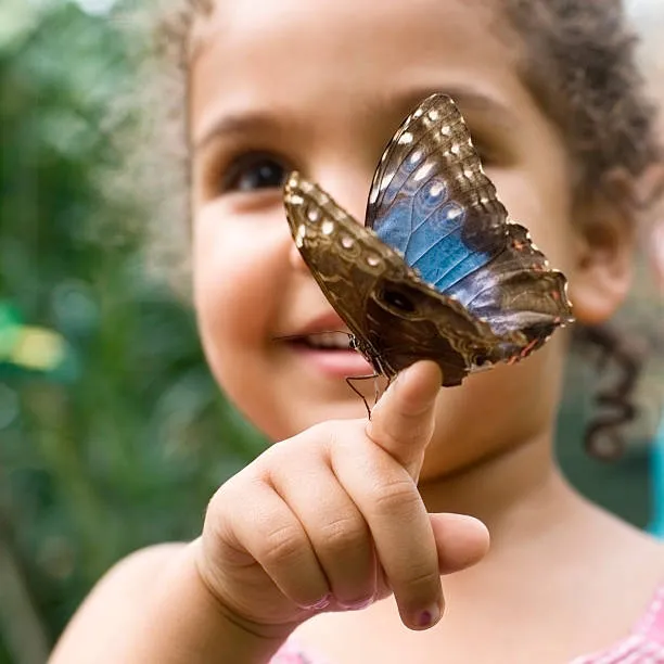 istockphoto-157639503-612x612.jpg
