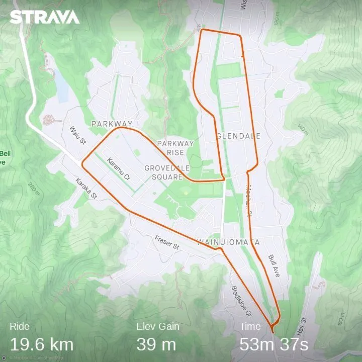 strava stats