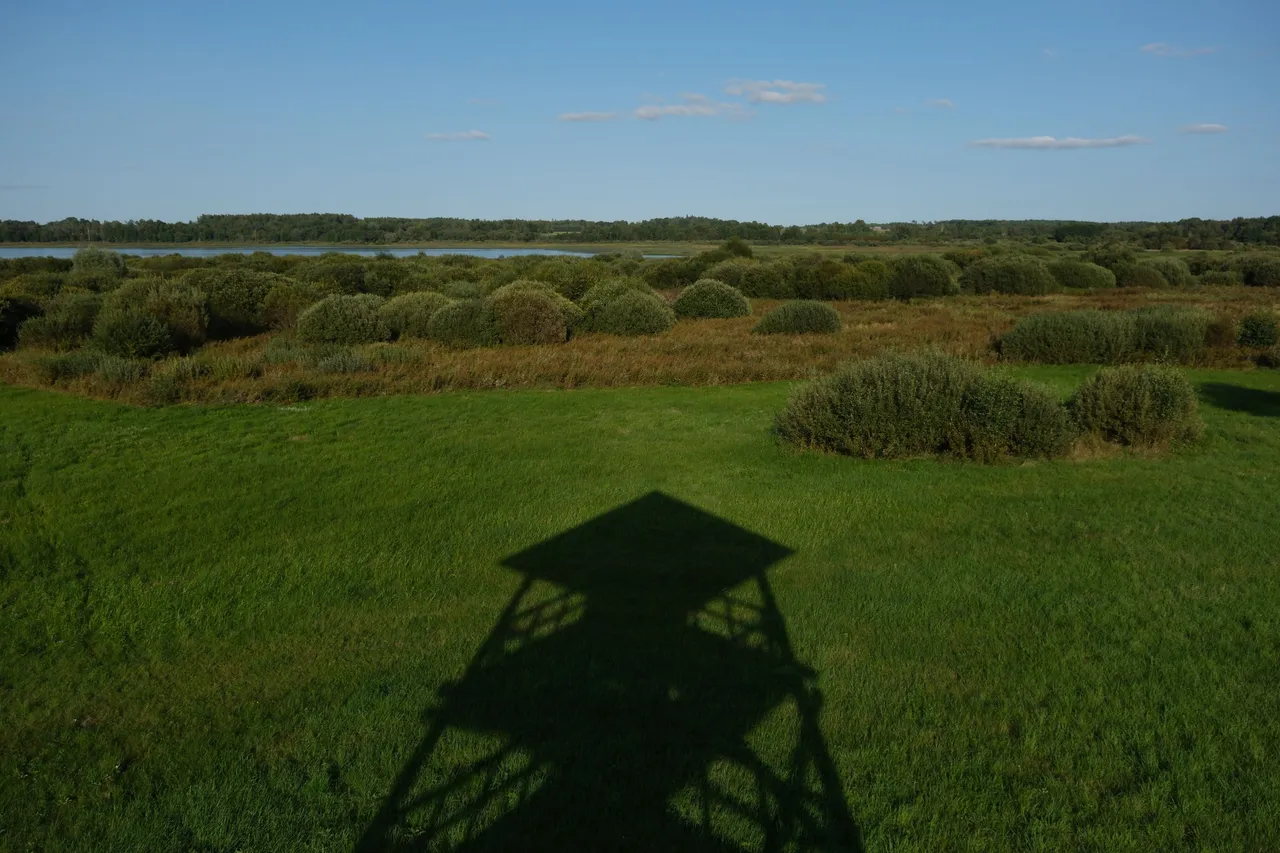DSCF0597.png