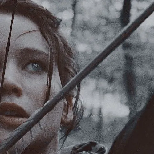 The Hunger Games Aesthetic.jpeg