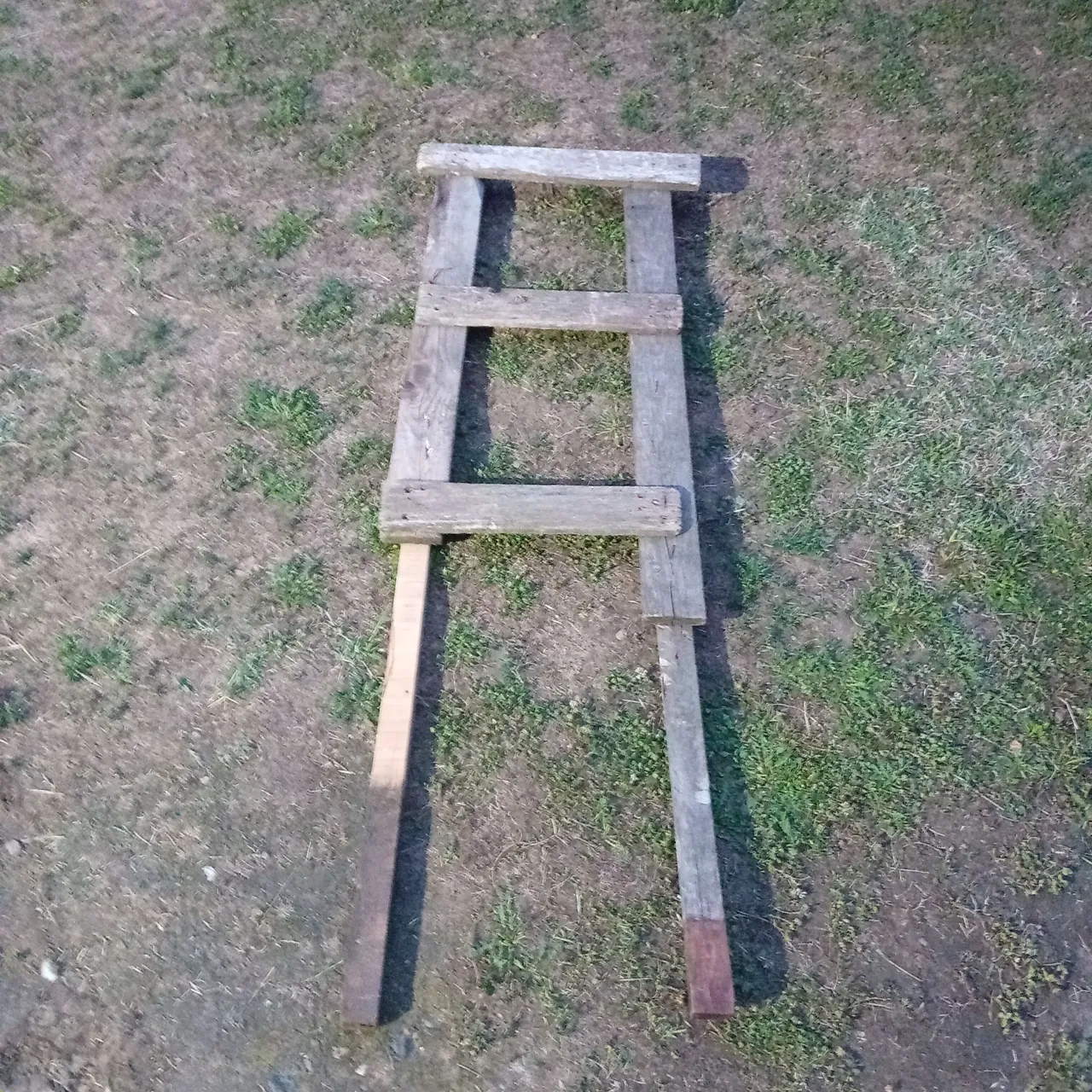 20250729_201706.jpg