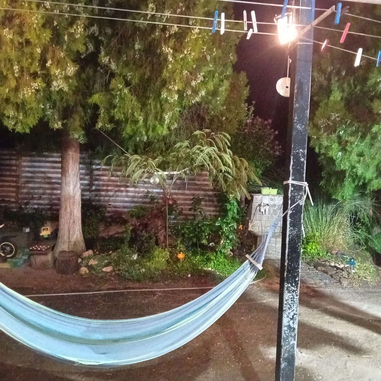 20250805_215709.jpg