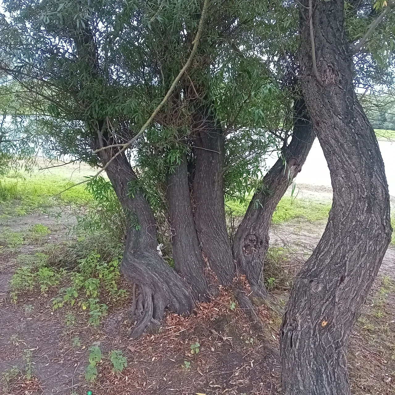 20250729_185604.jpg