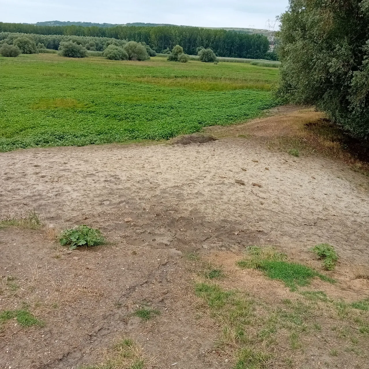 20250729_191546.jpg