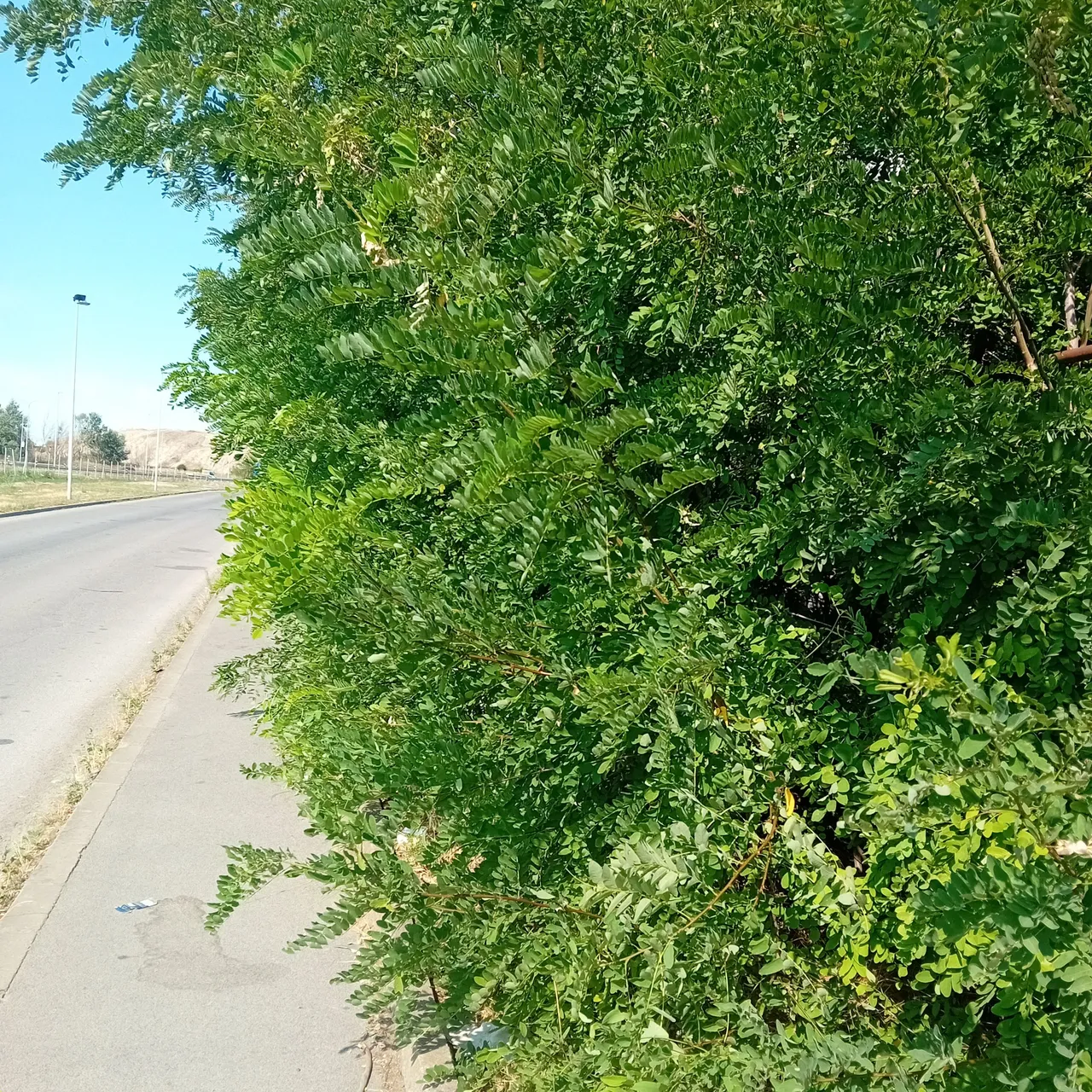 20250723_161003.jpg
