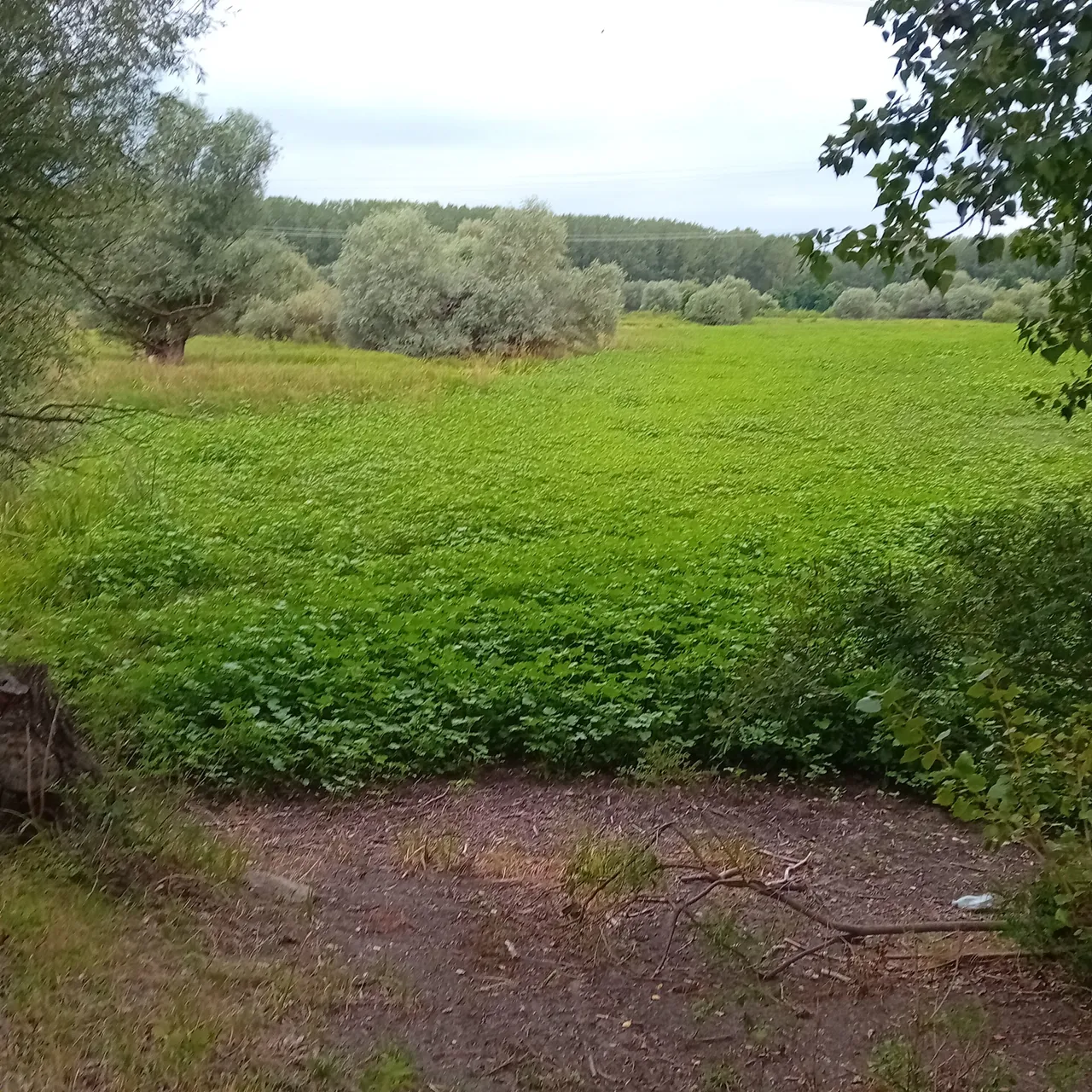 20250729_191758.jpg