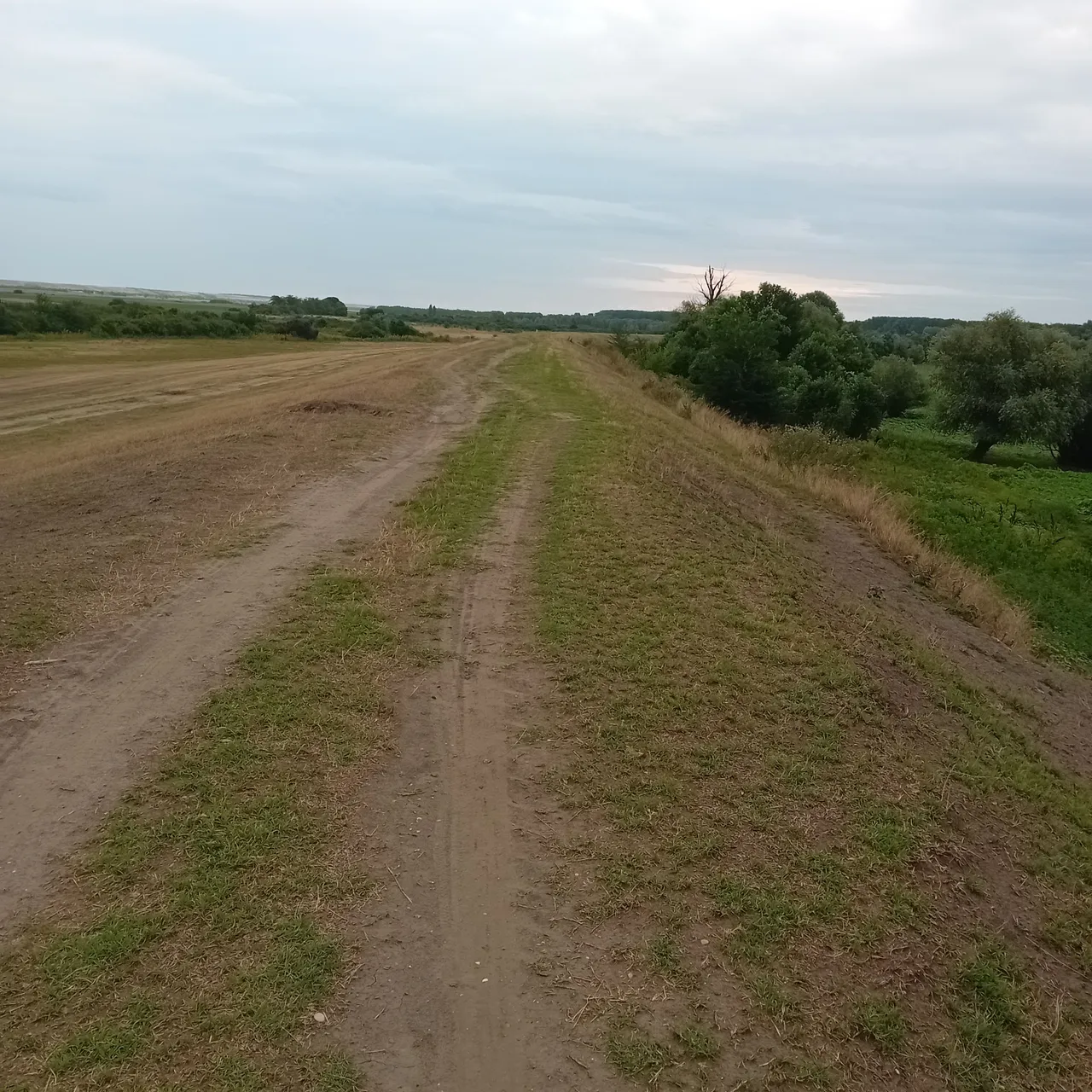 20250729_191543.jpg