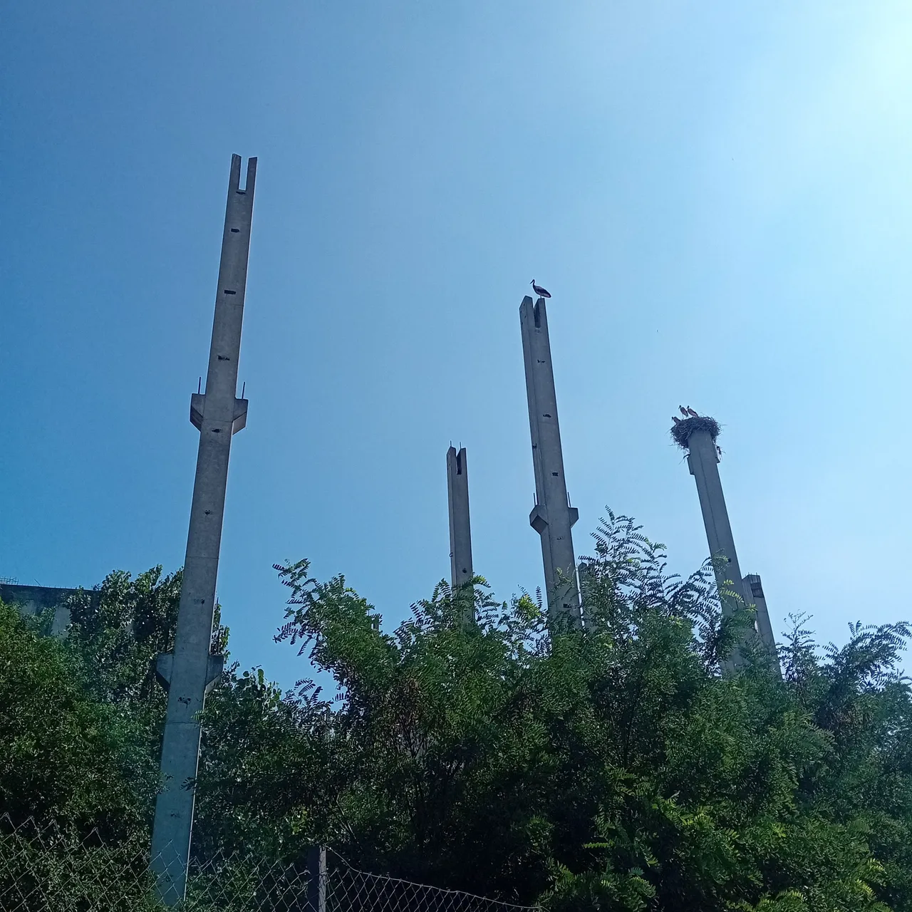 20250723_160718.jpg