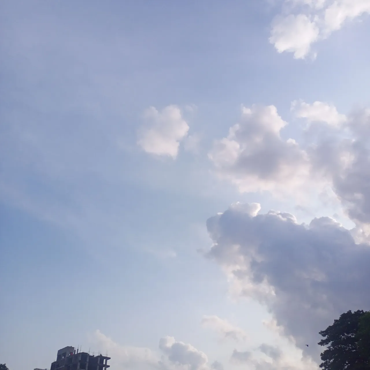 IMG_20250718_171945_992.jpg
