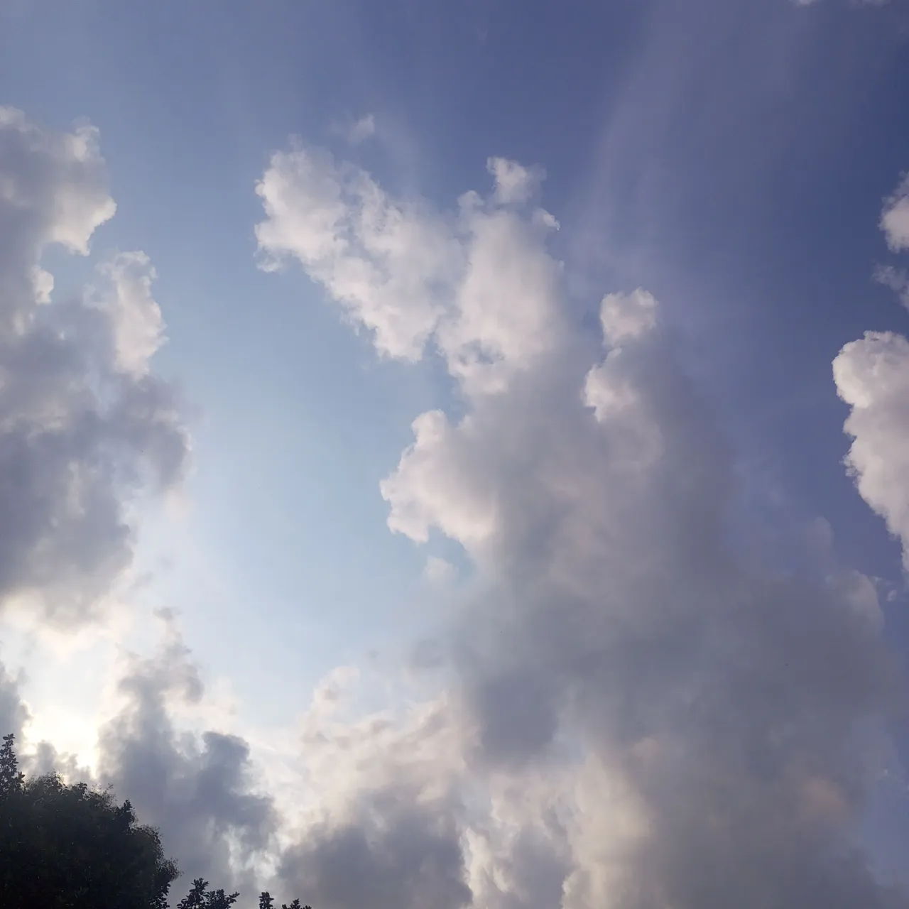 IMG_20250718_171935_362.jpg