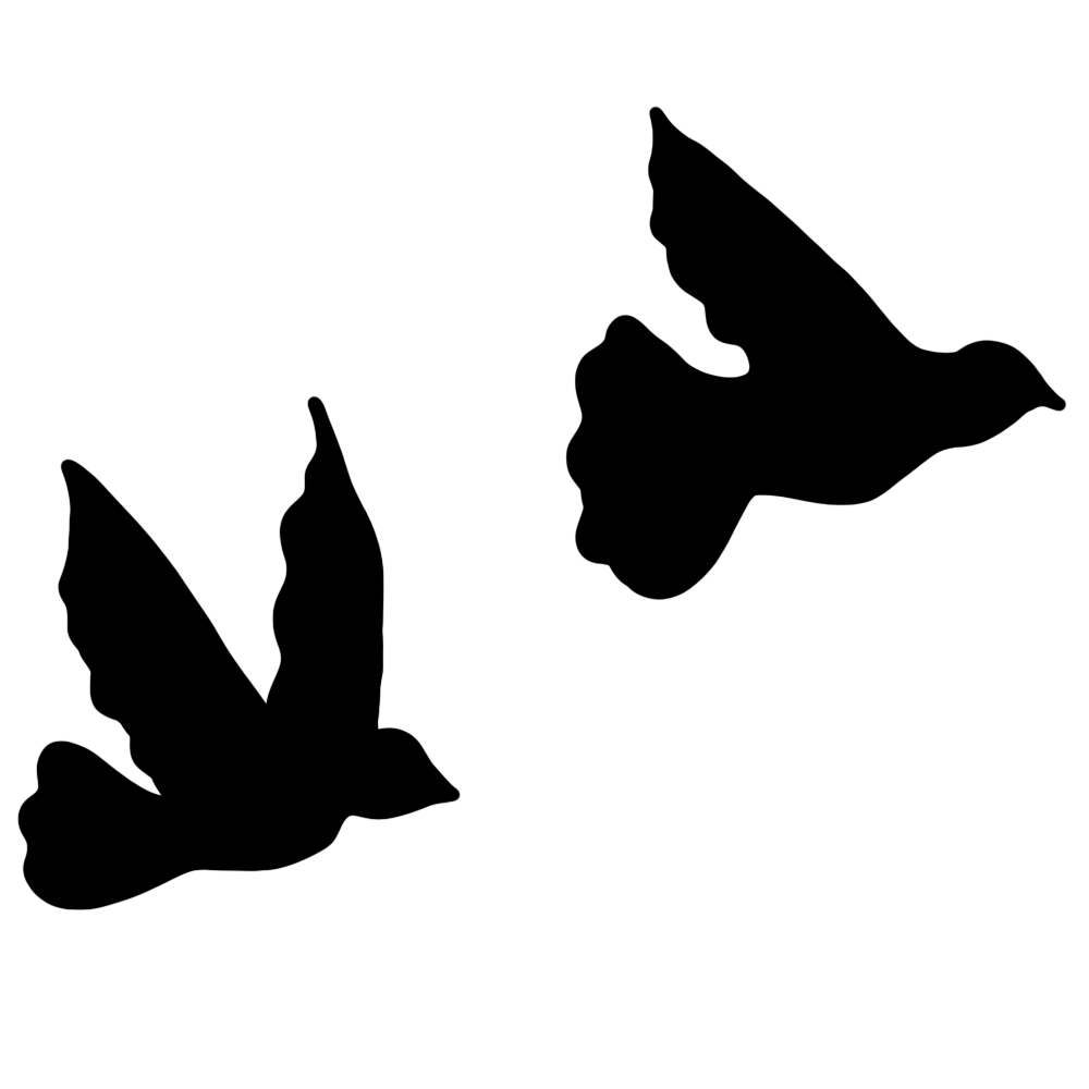 pajaros.png
