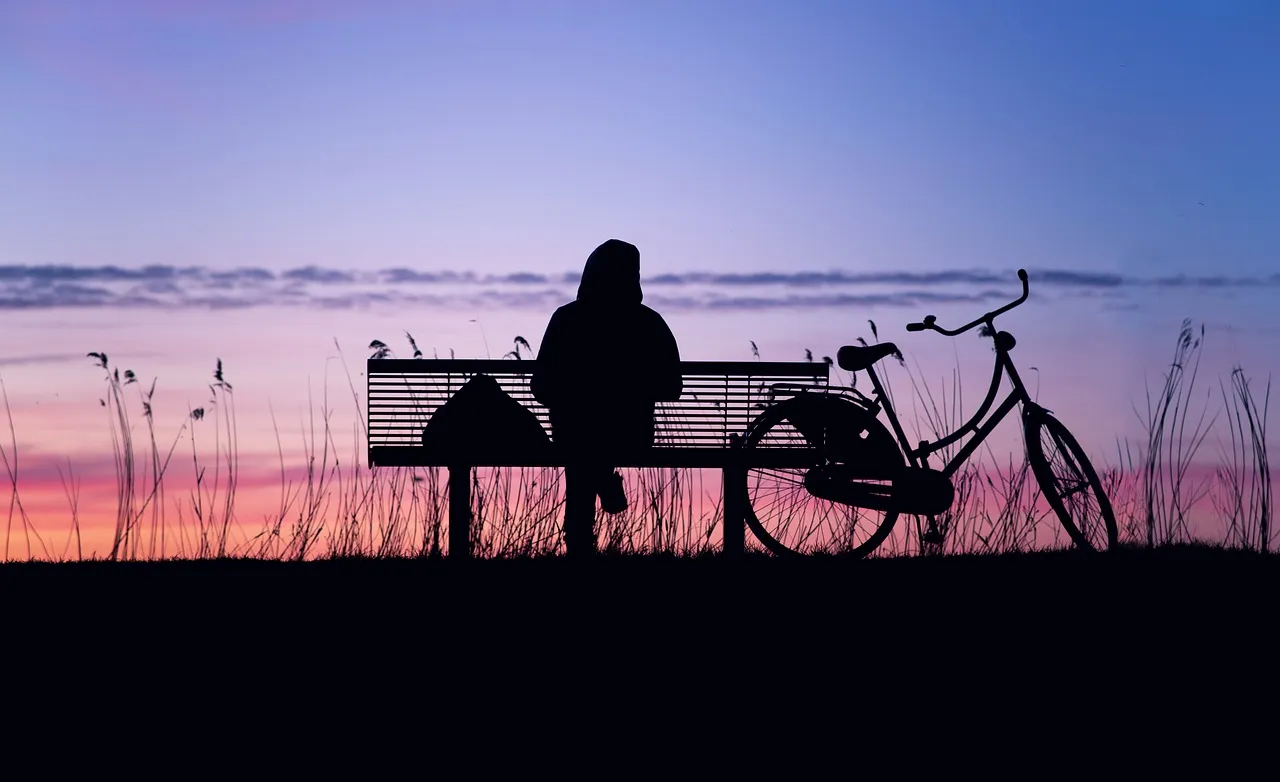 sunset-gf0c8f4414_1280.jpg