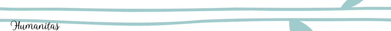 Copia de Diseño sin título_20240826_231043_0000.png