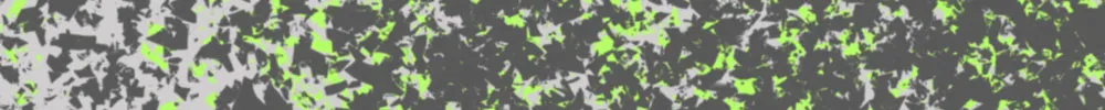 BANNER DISPARA.jpg