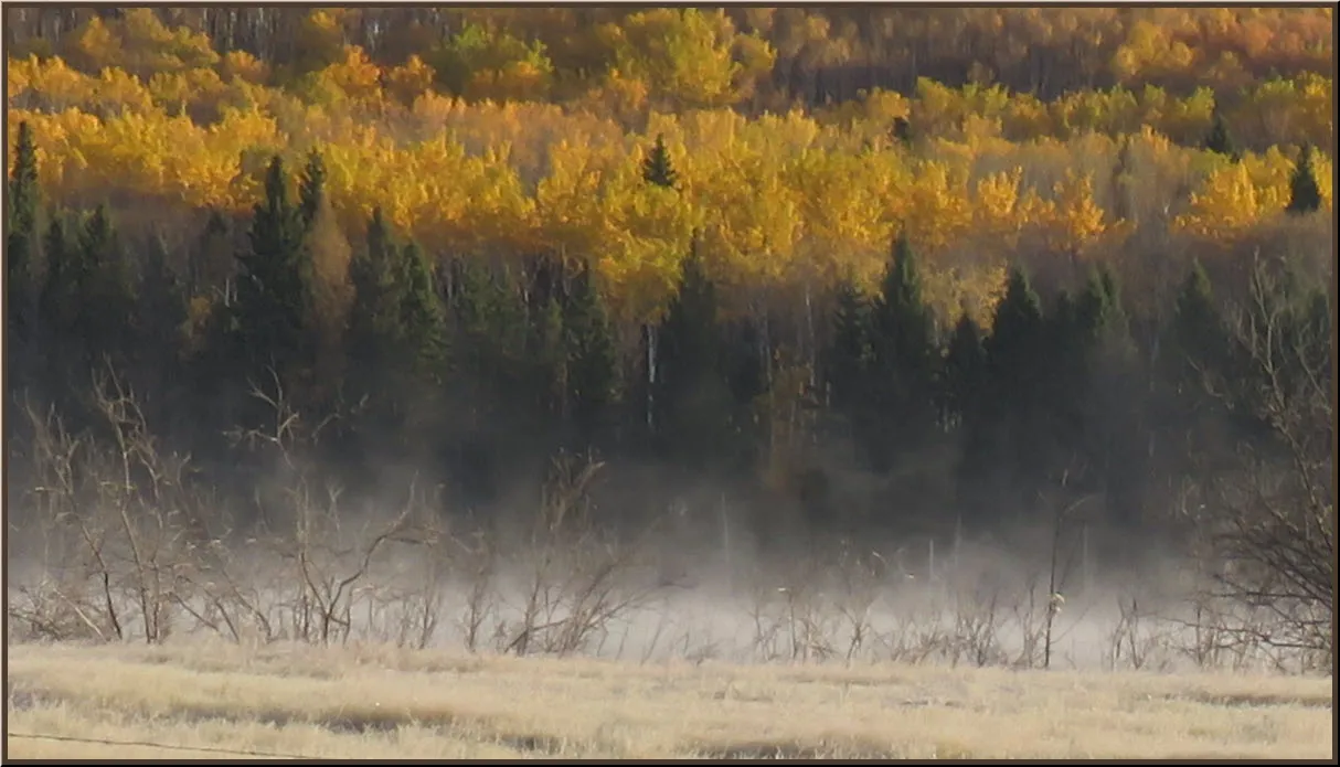 mist rising from pond fall color on trees behind.JPG