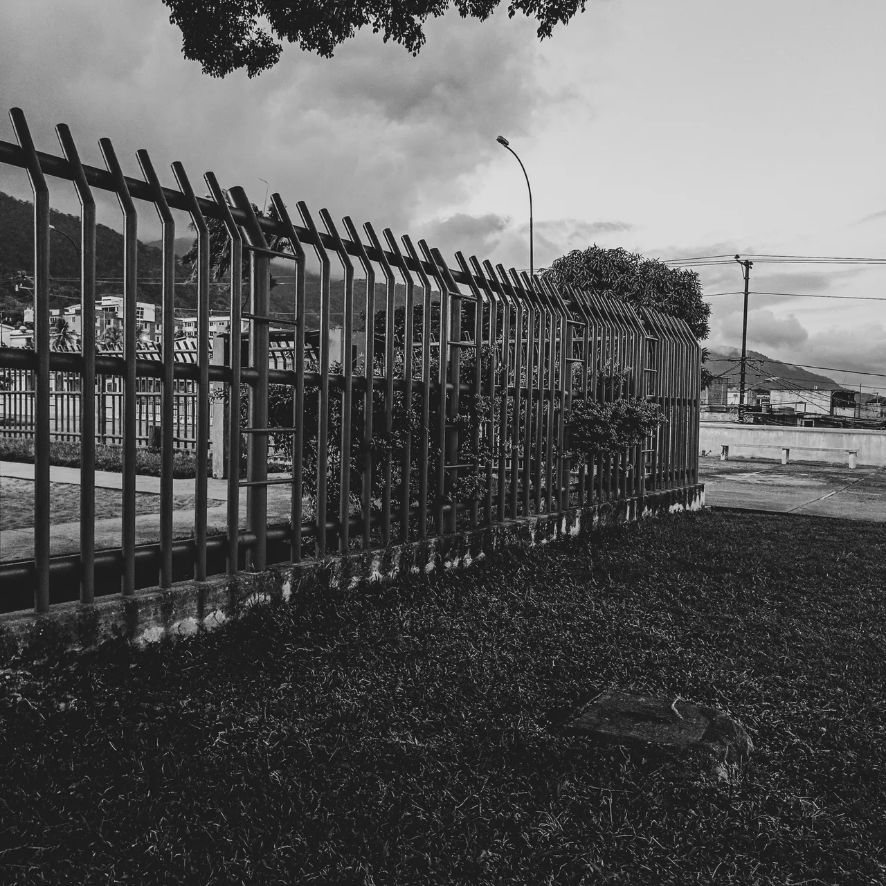 1647188843317 (1).jpg