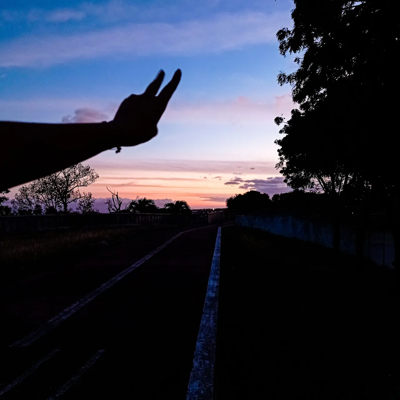 1647188843239 (1).jpg