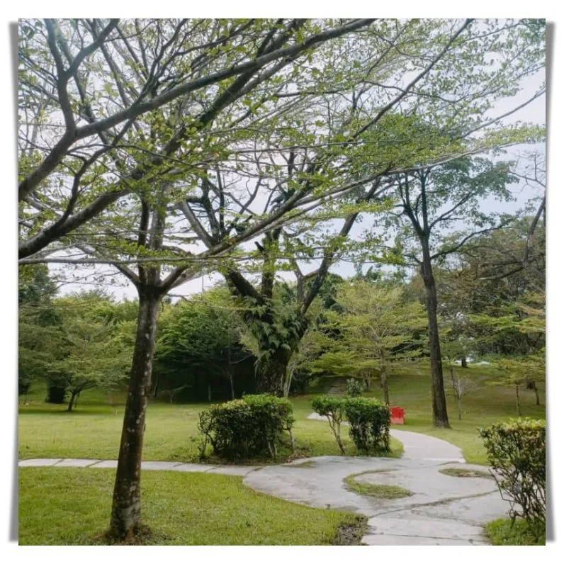 park 1.jpg