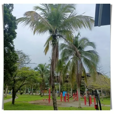 park 4.jpg