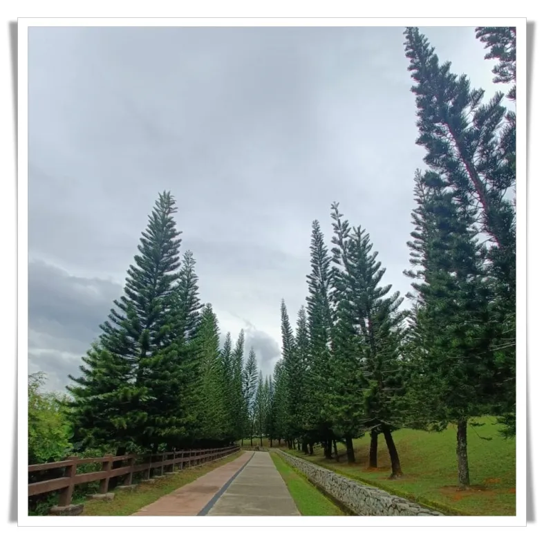 saujana33.jpg