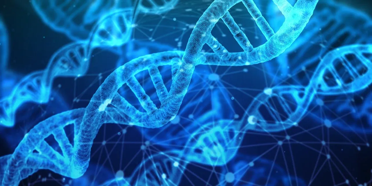 dna-3539309_1280.webp.jpg