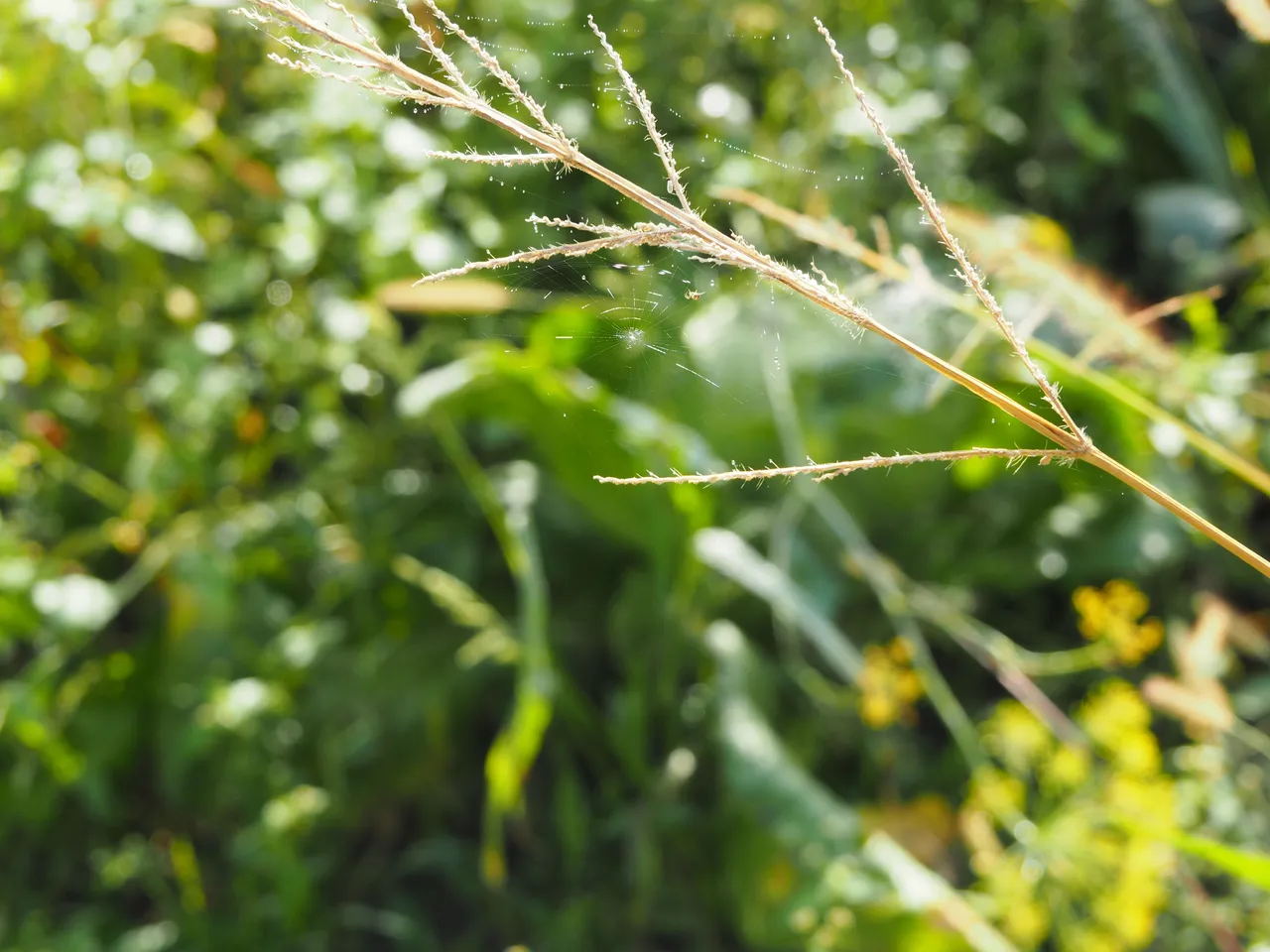 P9262333.JPG