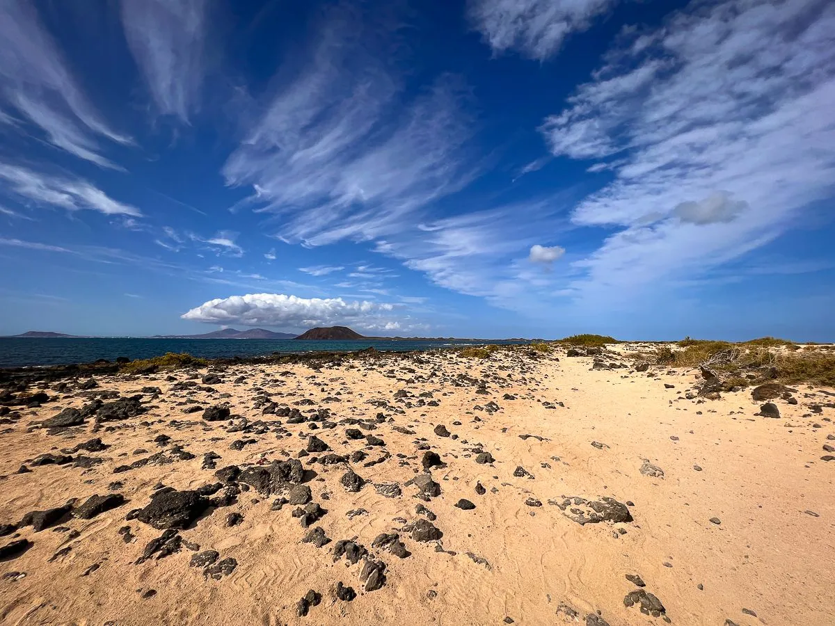 Fuerte2023-7.jpg
