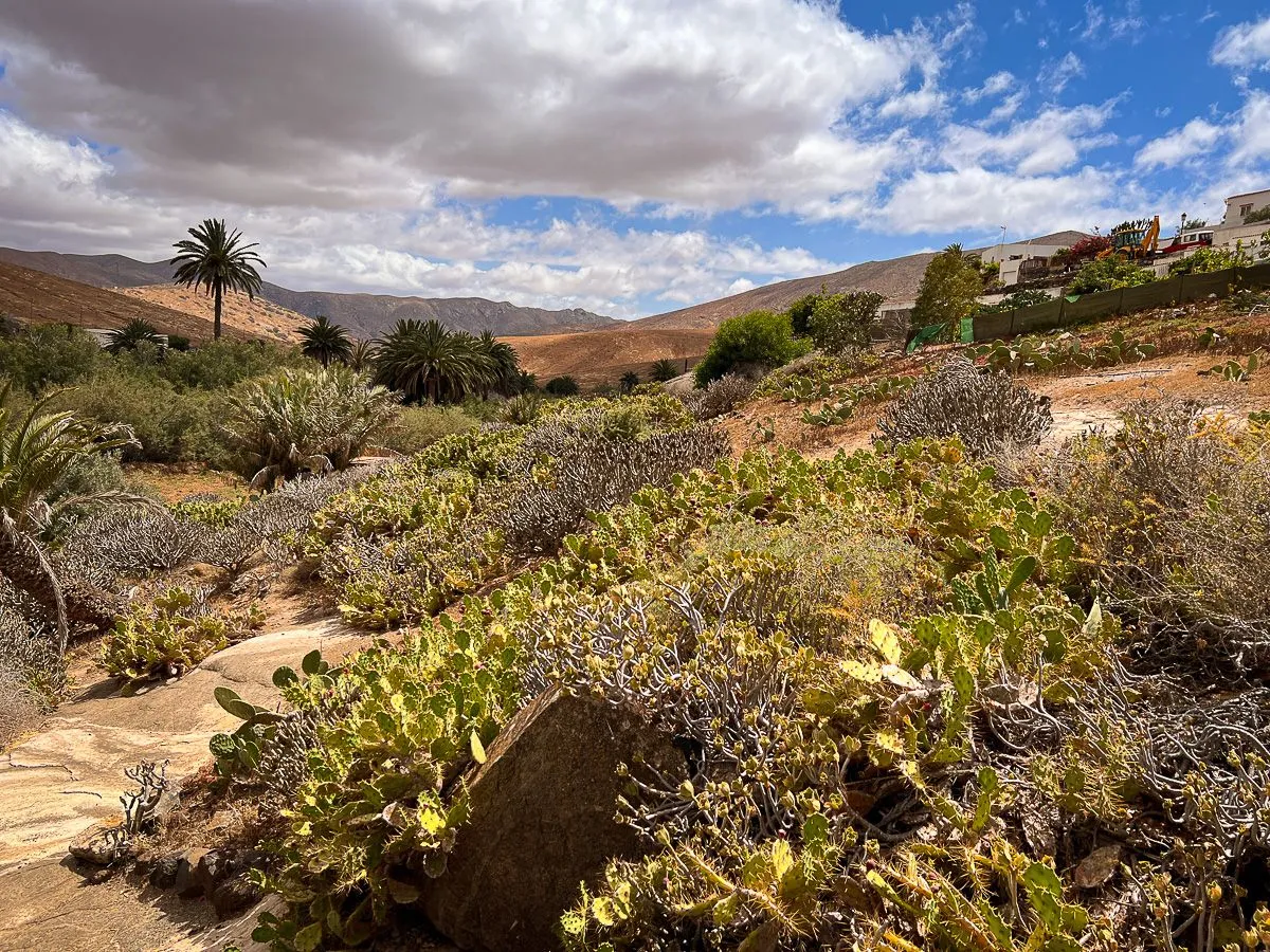 Fuerte2023-day4-12.jpg