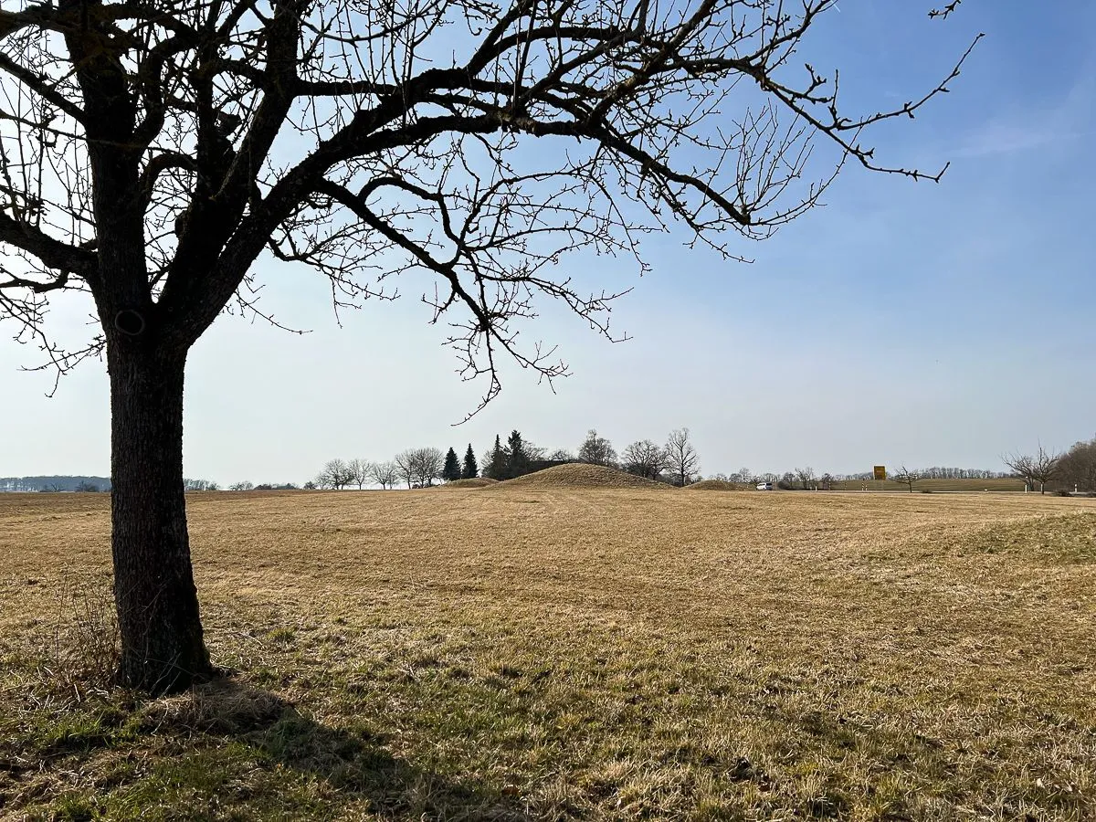 swabian-jura-5.jpg