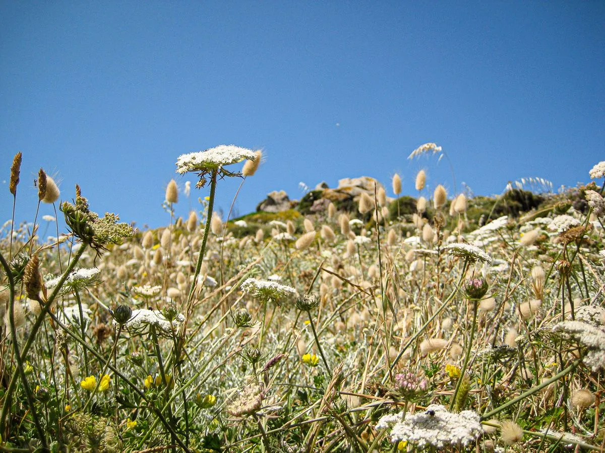 Sardinien2010-10.jpg