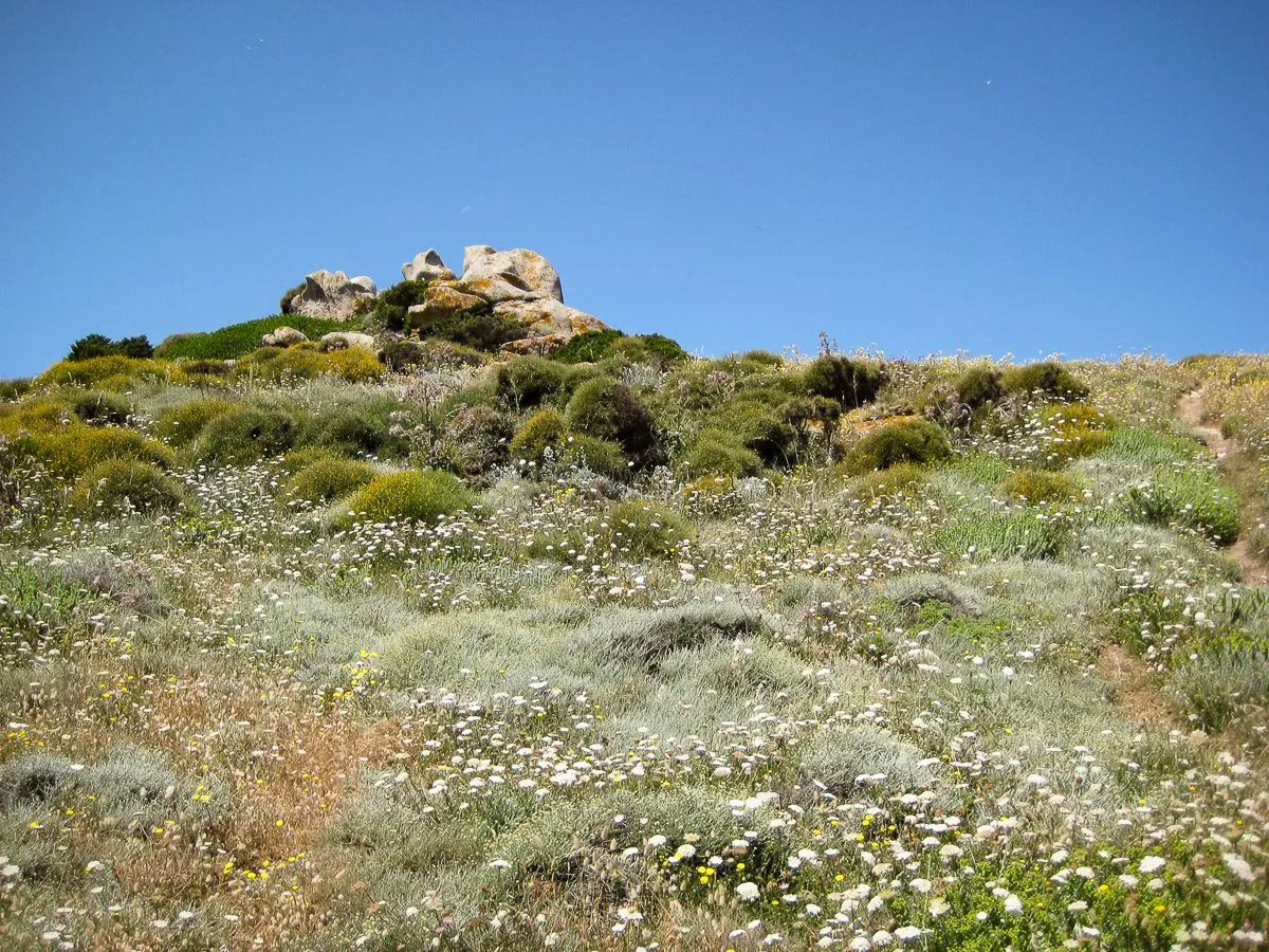 Sardinien2010-8.jpg