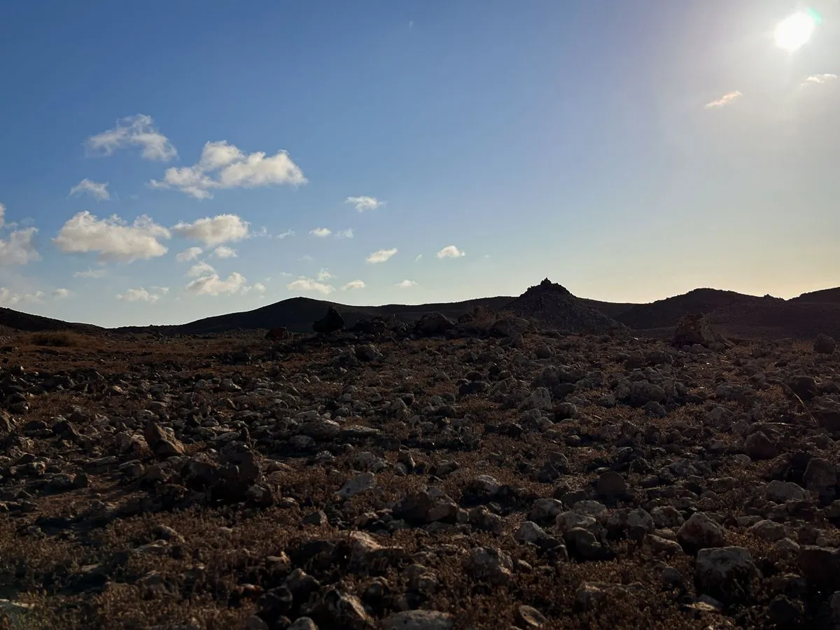Fuerte2023-day2-8.jpg