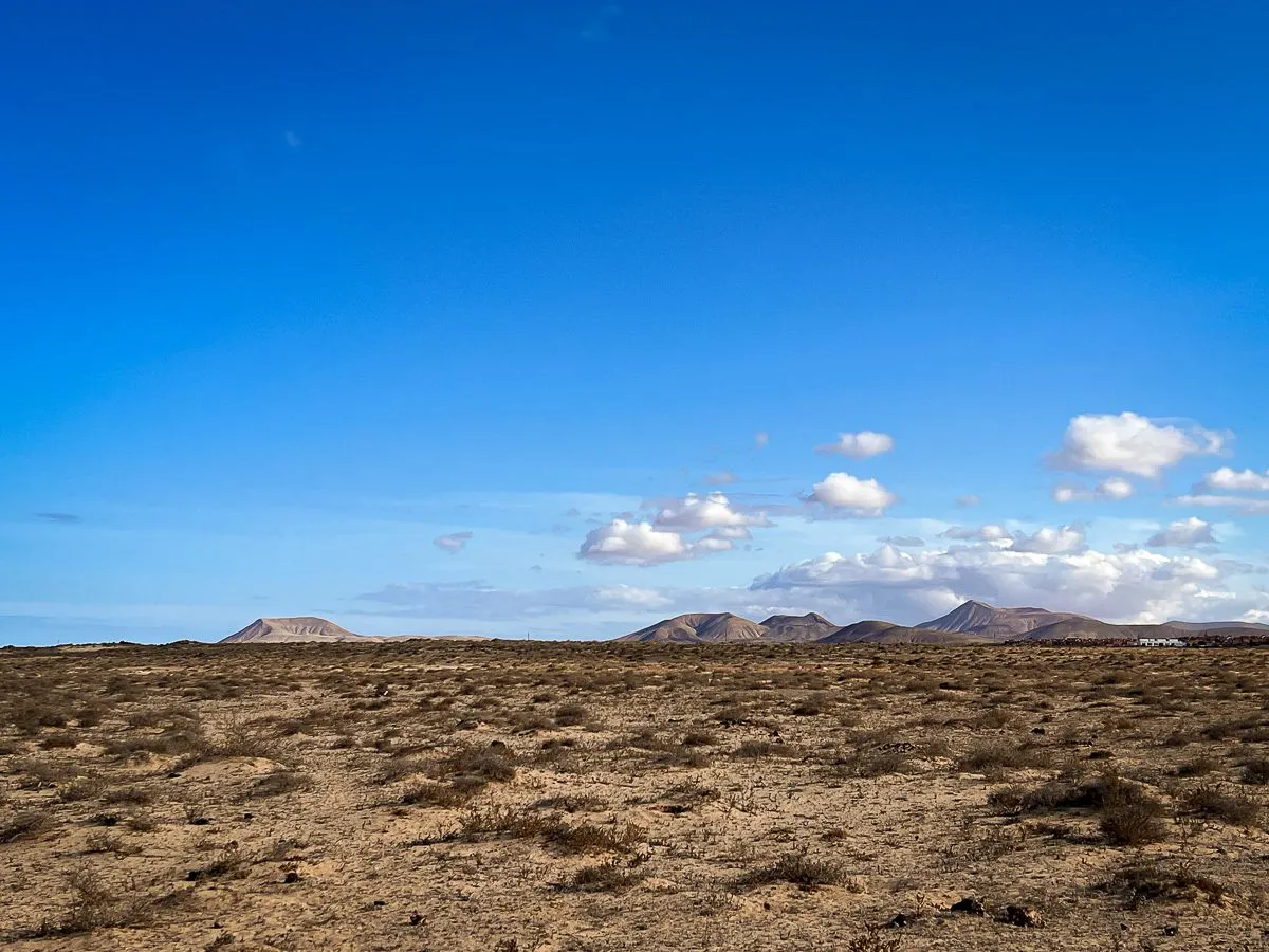 Fuerte2023-day2-1.jpg