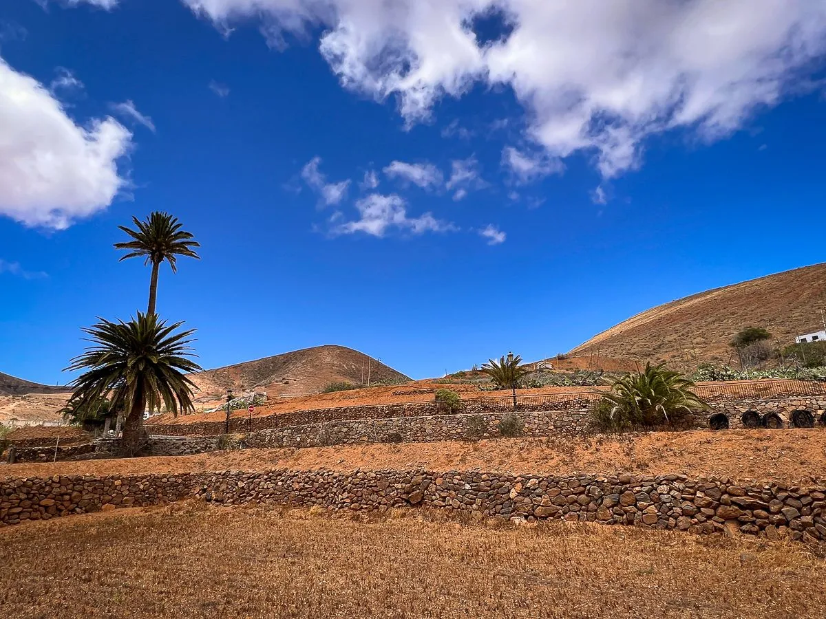 Fuerte2023-day4-7.jpg