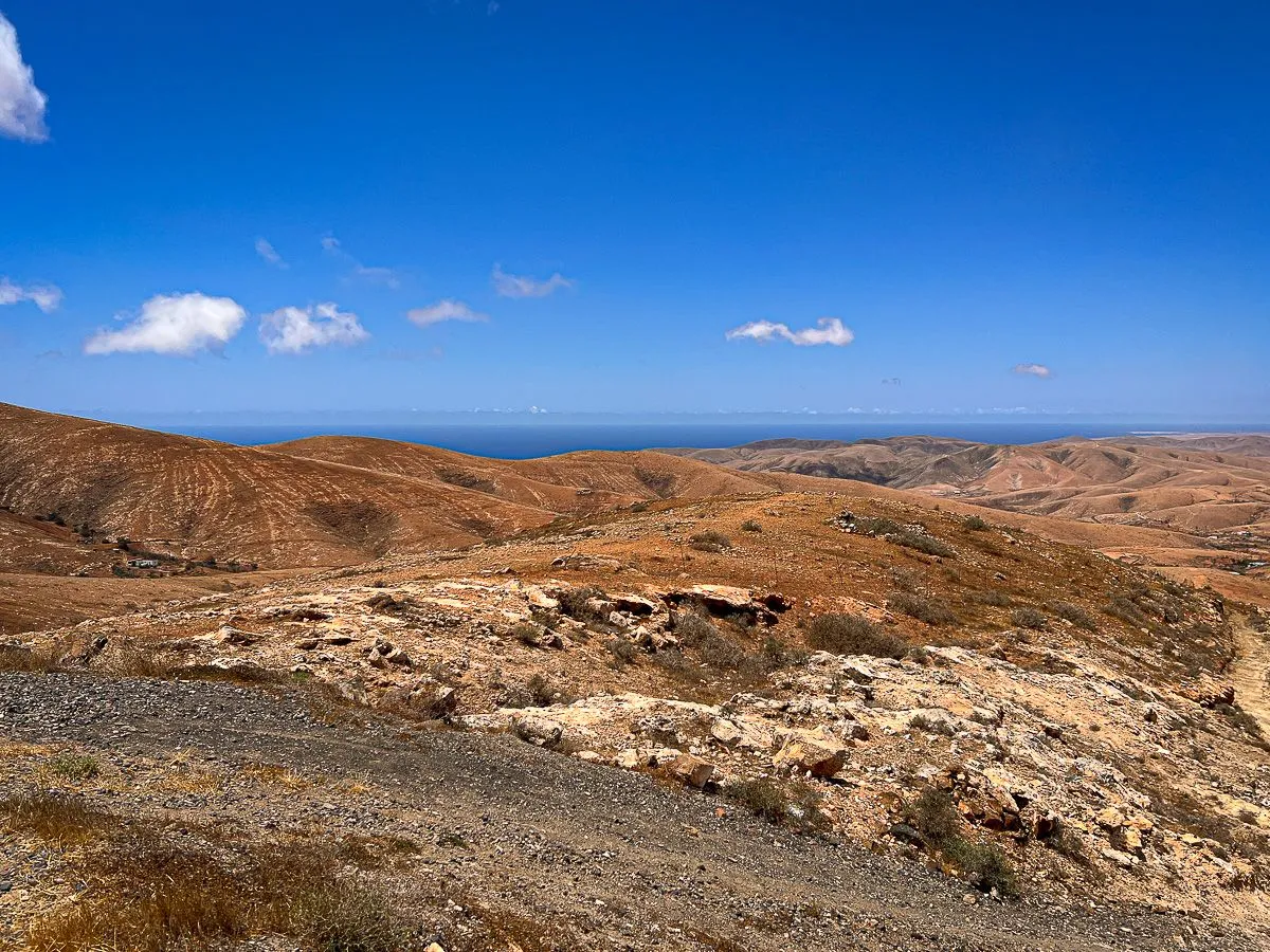 Fuerte2023-day4-3.jpg