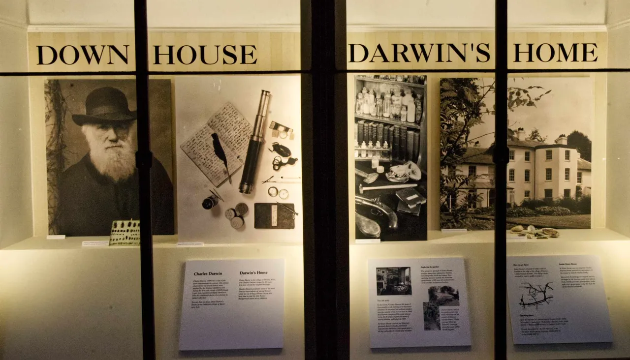 museum-20.jpg