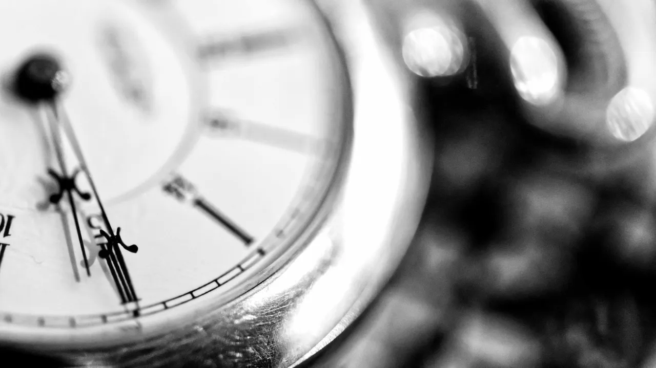 macrowatchbw.jpg