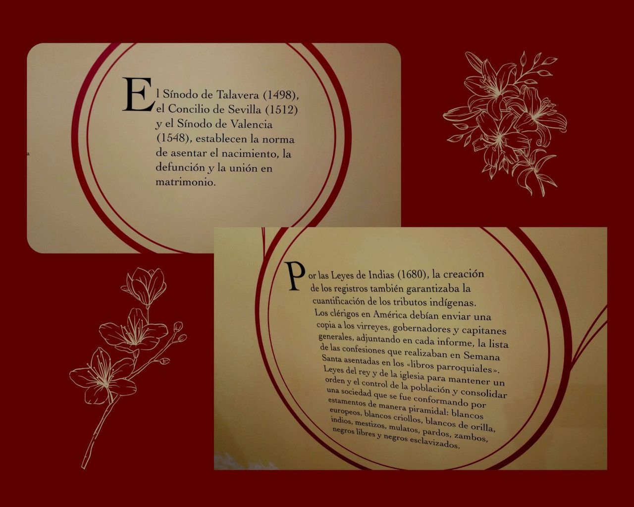 testigos-41.jpg