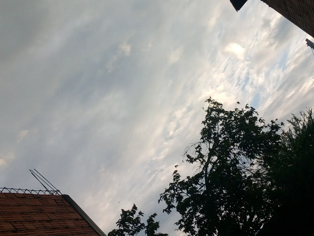 IMG_20250519_063556_206.jpg