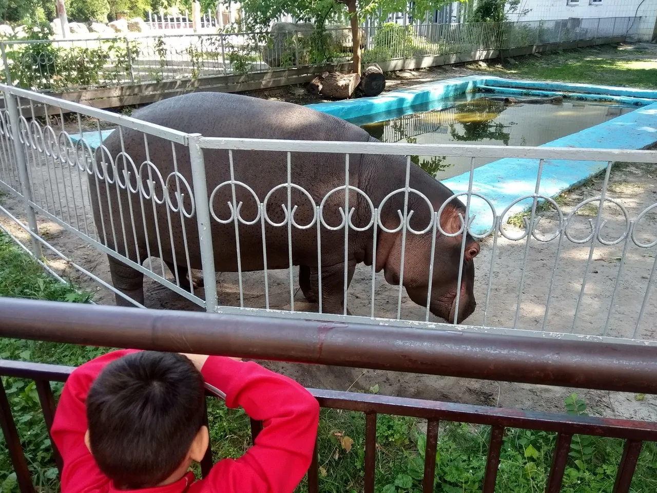 IMG_20190818_113022_HDR.jpg