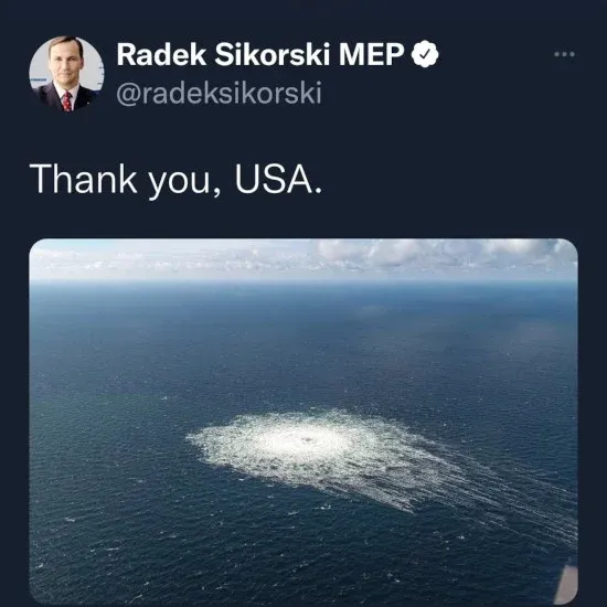 grafik.png