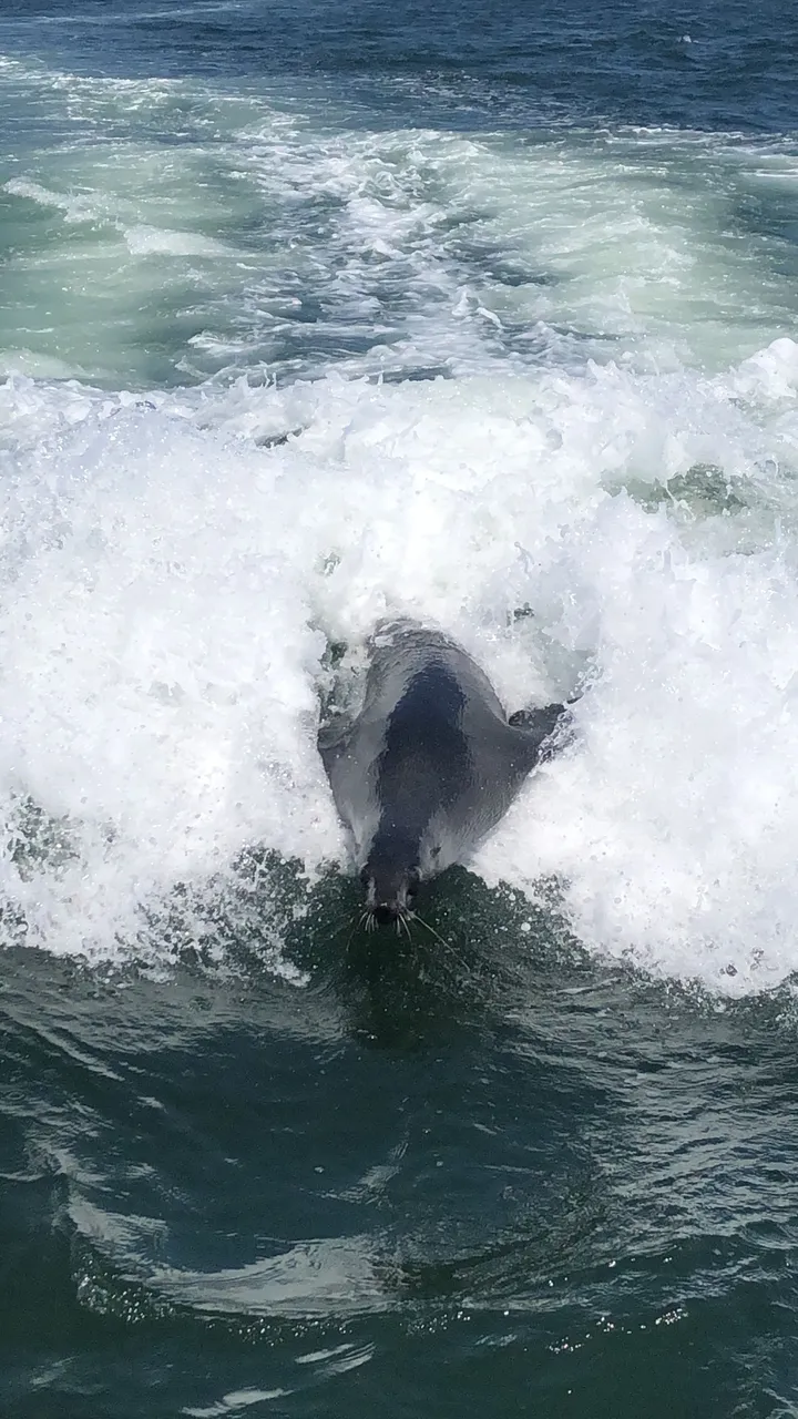 image_123923953.JPG