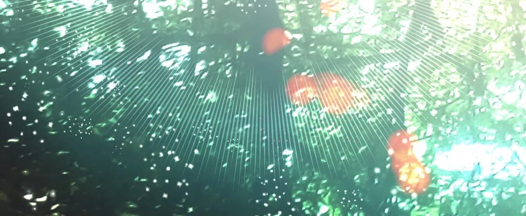 1635221519912~2.png