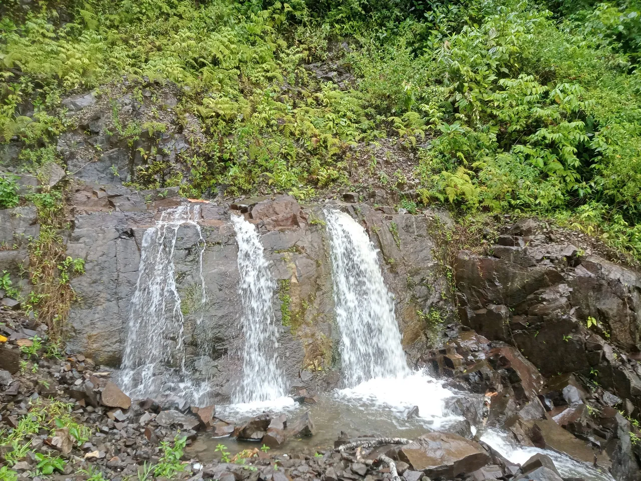 IMG20250720134836.jpg