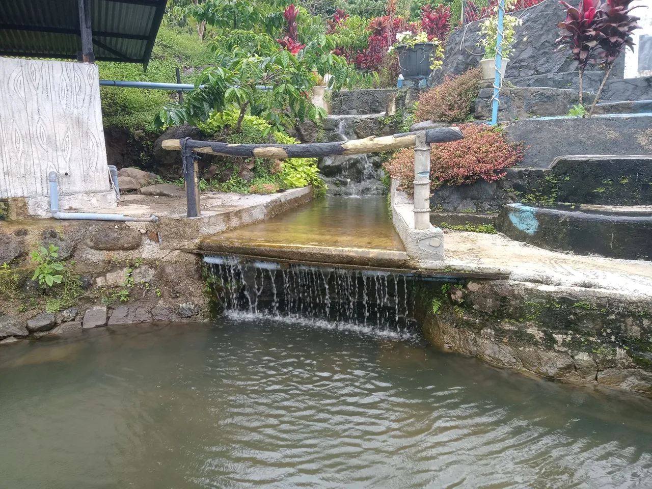 IMG20250720111925.jpg