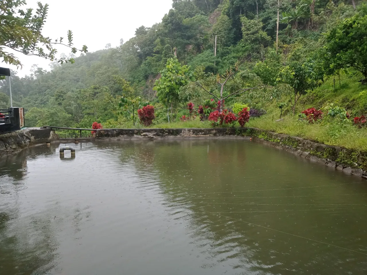 IMG20250720111943.jpg